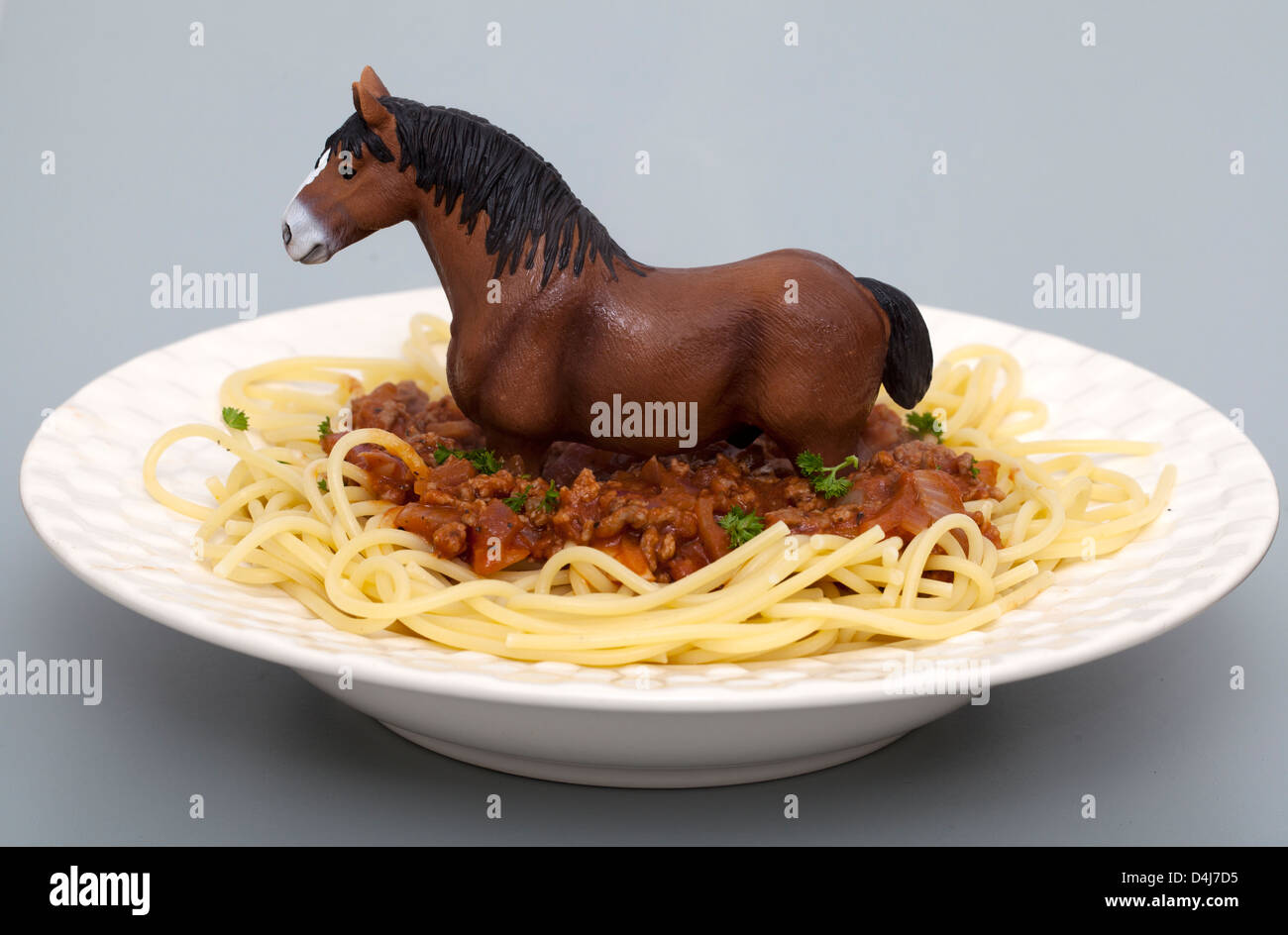 horse-spaghetti-bolognese-D4J7D5.jpg