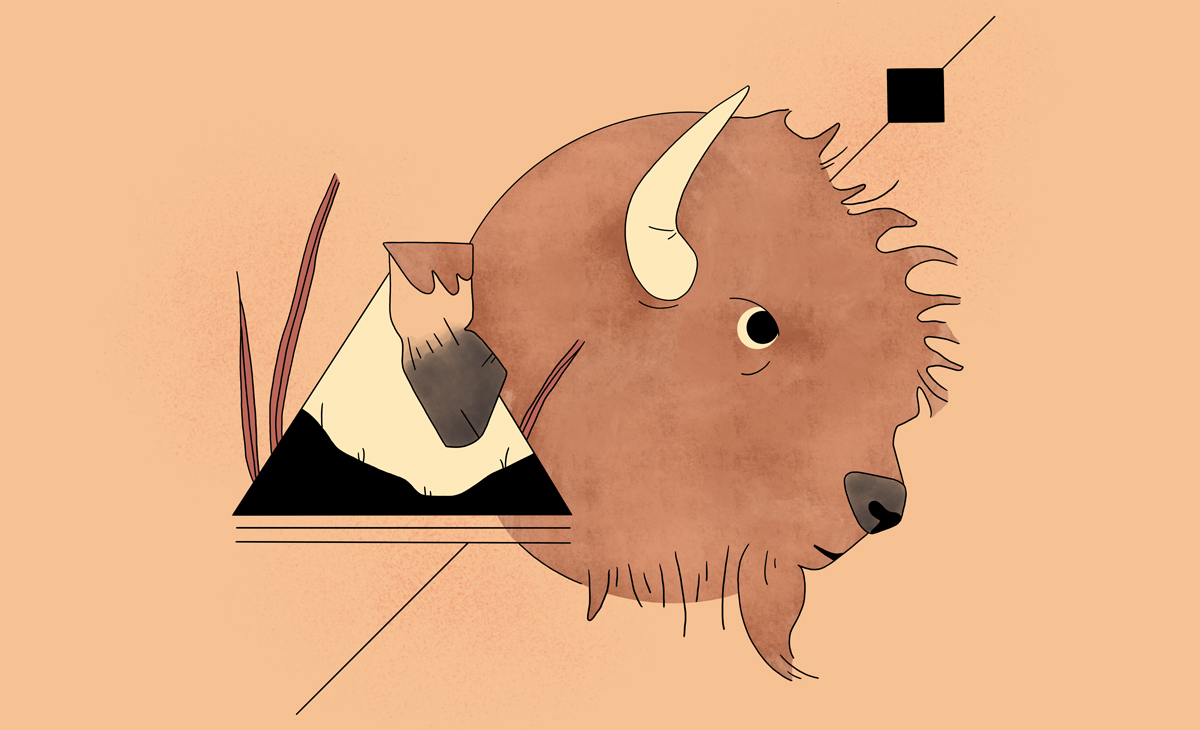 bison_keystone_species_cover.jpg