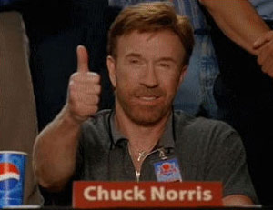 chuck-norris-approved-thumb.jpg