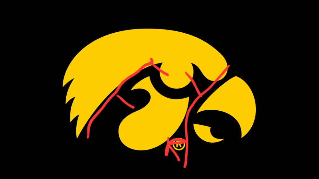 Tigerhawk-gold-on-black-2x.png