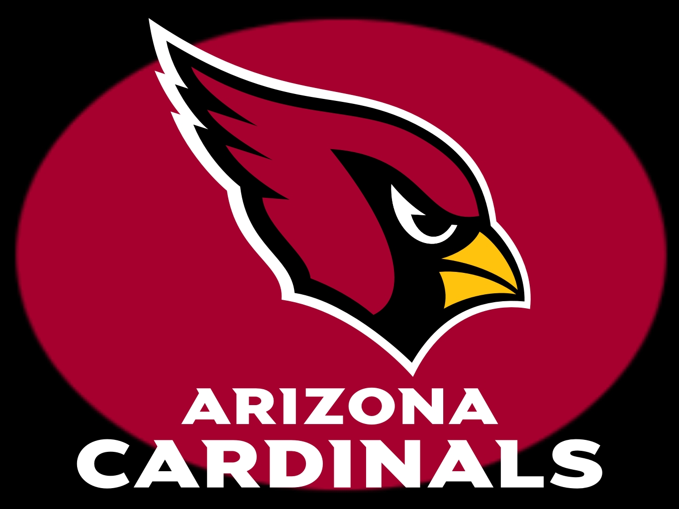 ArizonaCardinals4.jpg