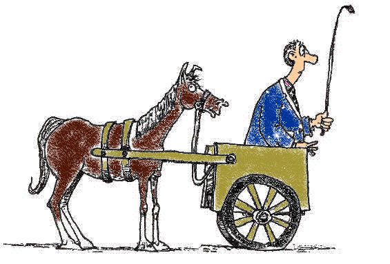 cart-before-the-horse.jpg