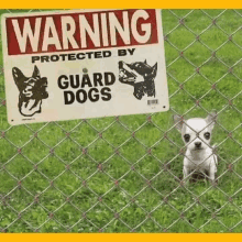 dog-guard-dogs.gif