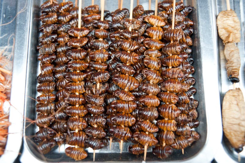 fried-cicada-pupa-chinese-cuisine-24136527.jpg