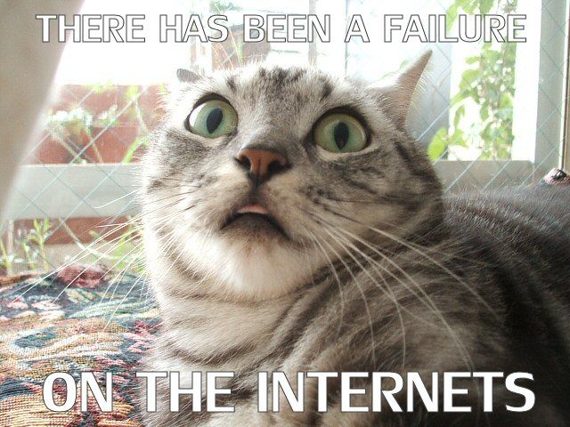 cat-internet-failure.jpg