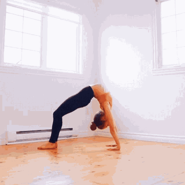 contortion-contortionist.gif