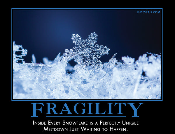 fragility.jpg