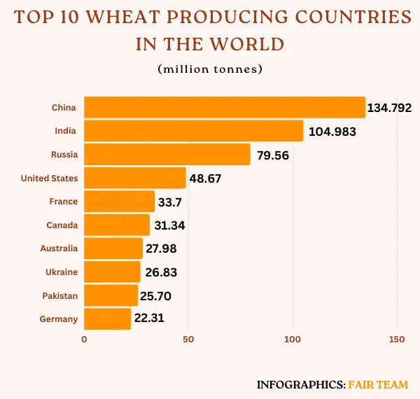 Top-10-Wheat-Producing-Countries-in-the-World.webp