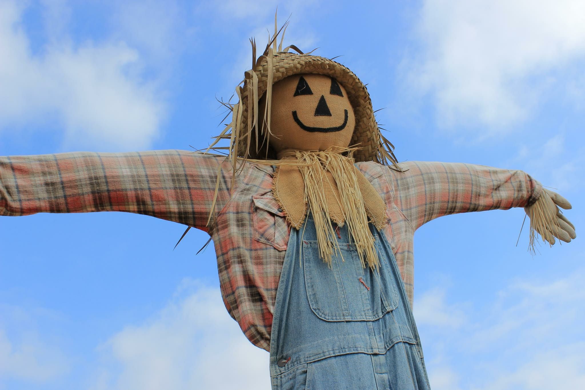 low-angle-view-scarecrow-against-cloudy-sky-562838541-5aaf18adfa6bcc00360a609c.jpg
