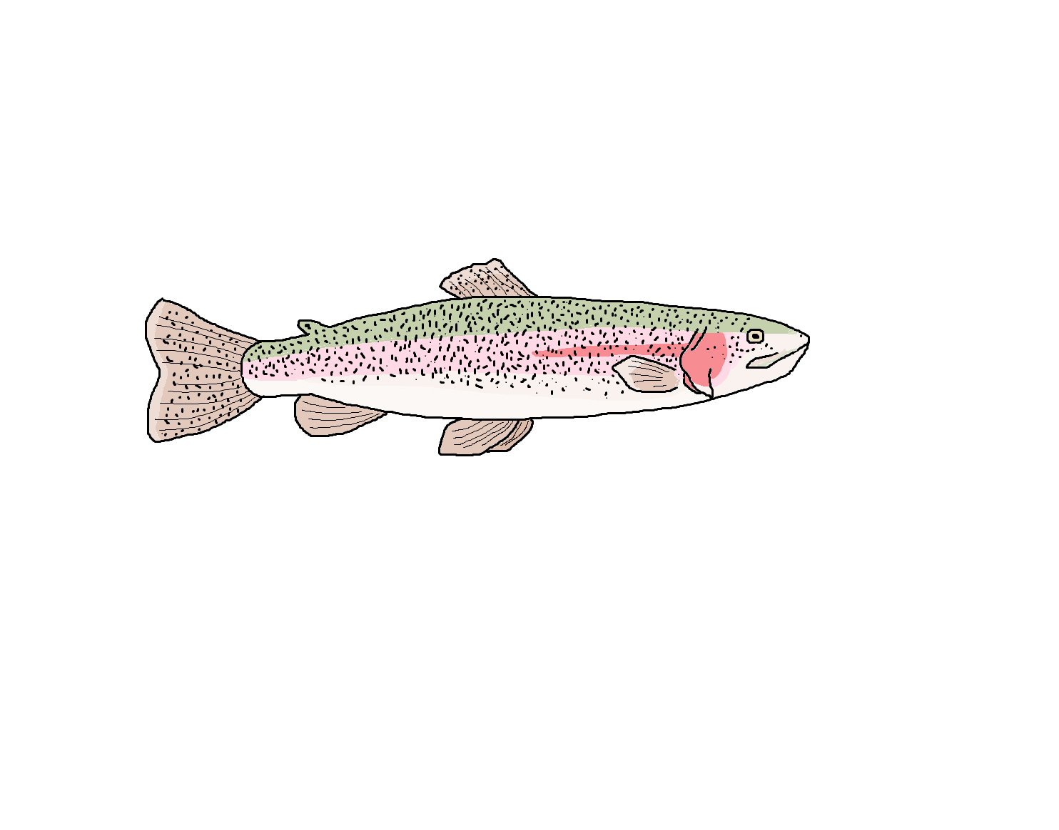 TROUT.png