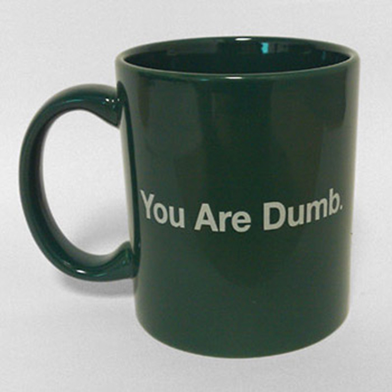 you+are+dumb+mug.jpg
