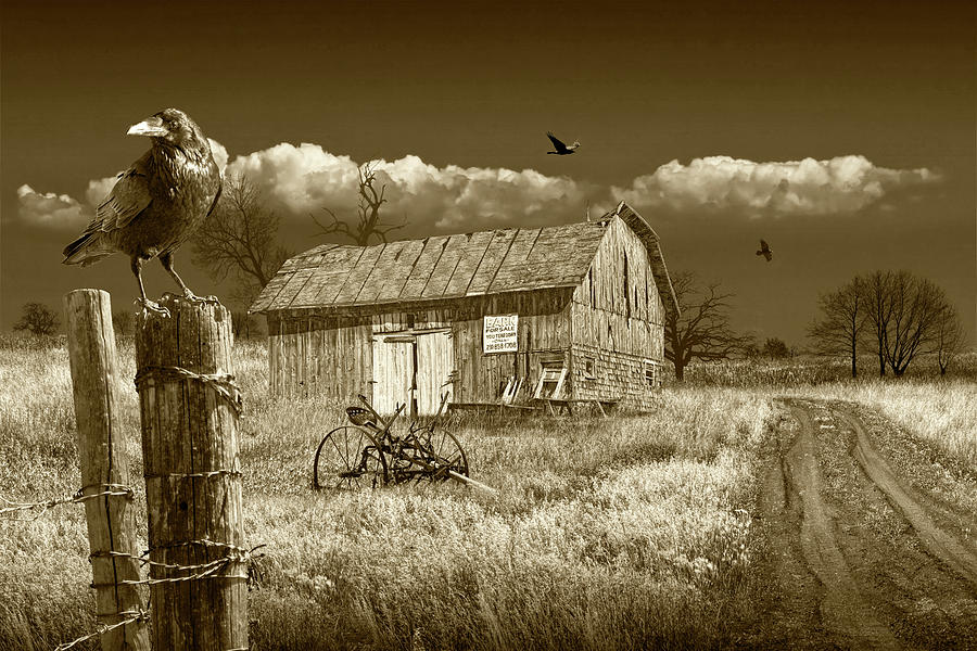 barn-for-sale-with-black-crows-in-sepia-tone-randall-nyhof.jpg