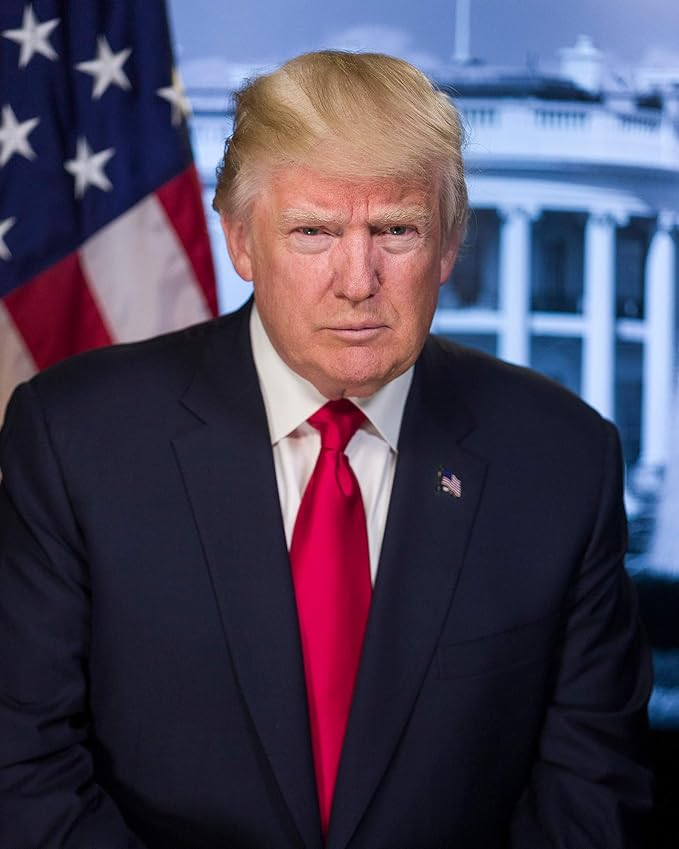 Frame a Patent Donald Trump Photograph - Historical Artwork from 2016 - US President Portrait - (8" x 10") - Matte