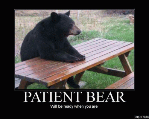 stukk-patient-bear.gif