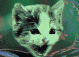 morph magic cat GIF by ewanjonesmorris