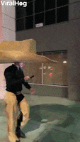 Say Howdy To Giant Cowboy Hat GIF by ViralHog