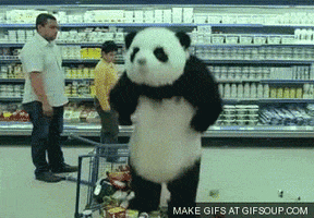 angry panda GIF