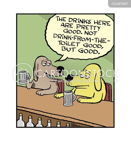 animals-drink-drinking-bar-tavern-dogs-bwhn2581_low.jpg