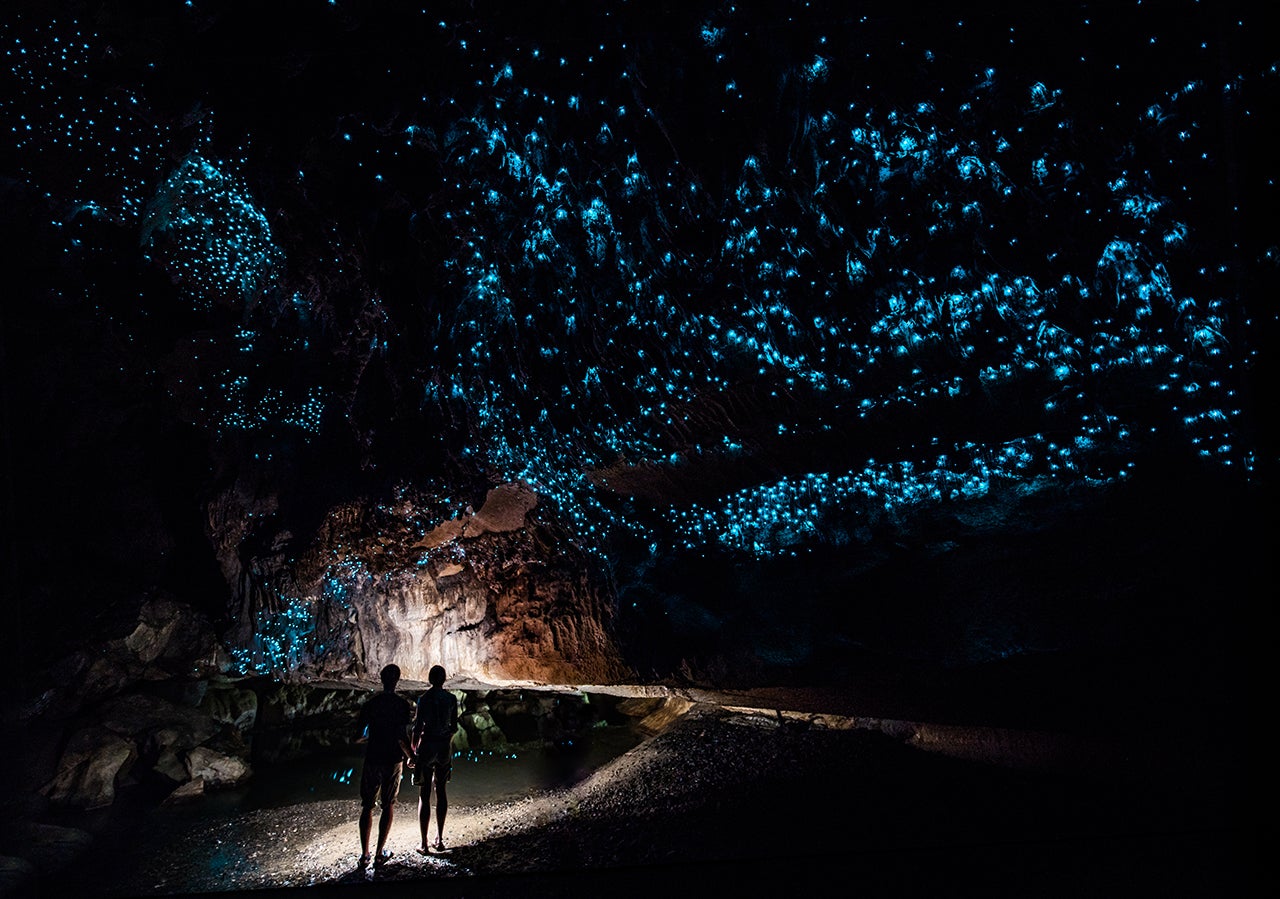 Glow-Worm-Sky-in-Waipu-Cave-new-Zealand.jpg