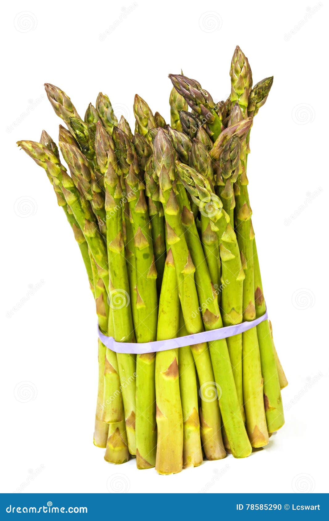 elastic-band-securing-bunch-fresh-asparagus-studio-shot-natural-green-spears-white-background-78585290.jpg