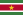 23px-Flag_of_Suriname.svg.png