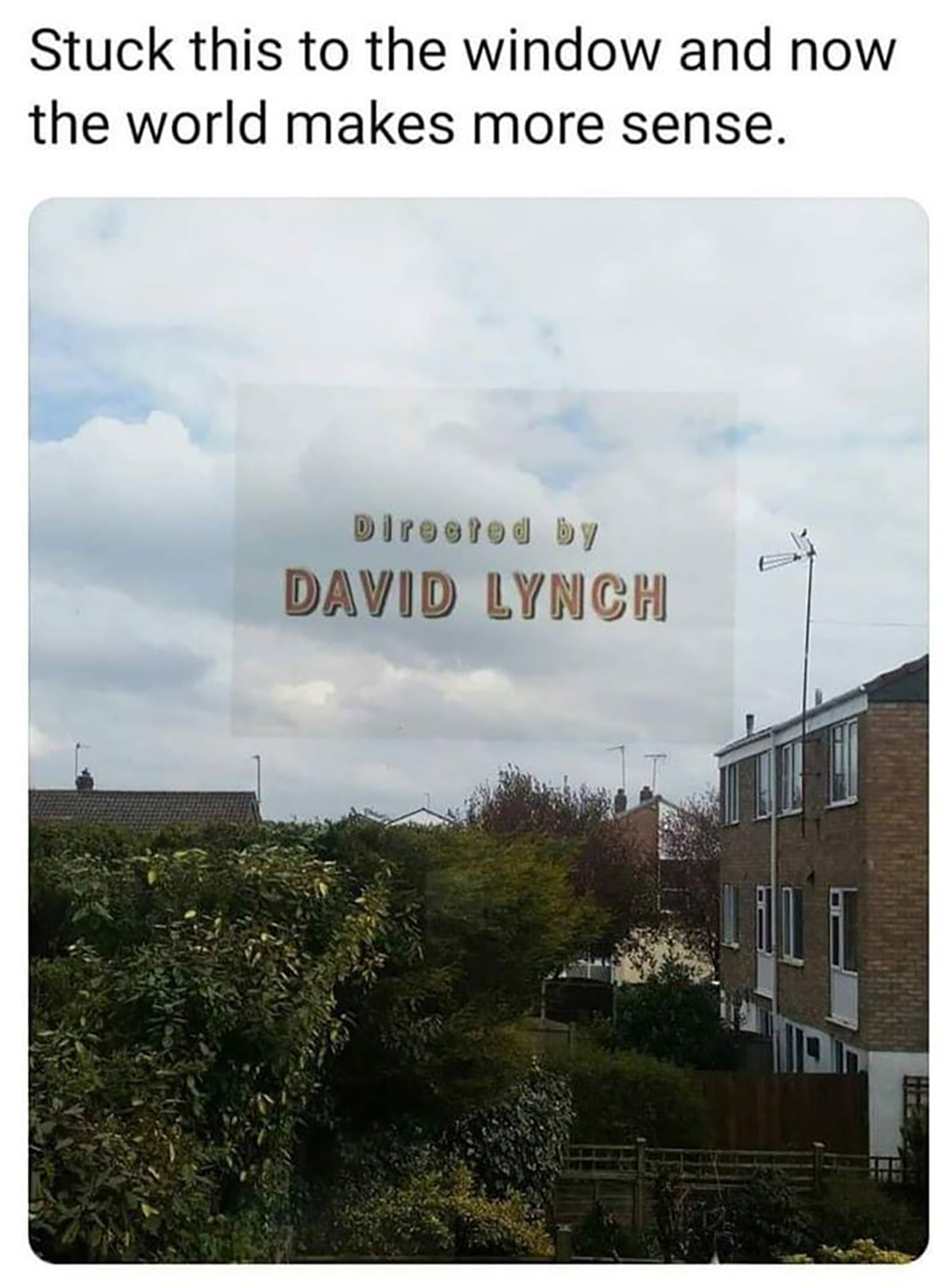 david-lynch.jpg