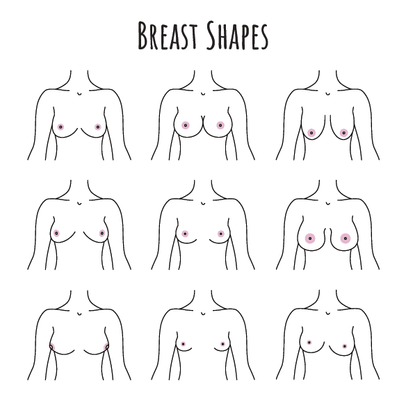 breast-shapes-01.png