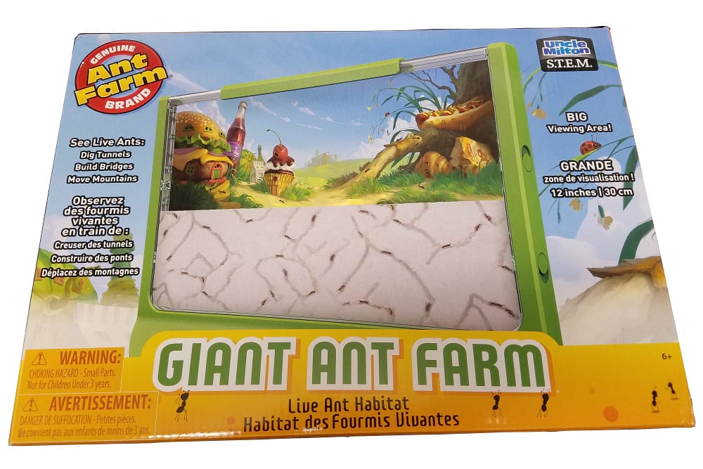 giant-ant-farm-new1.jpg