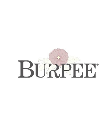 www.burpee.com