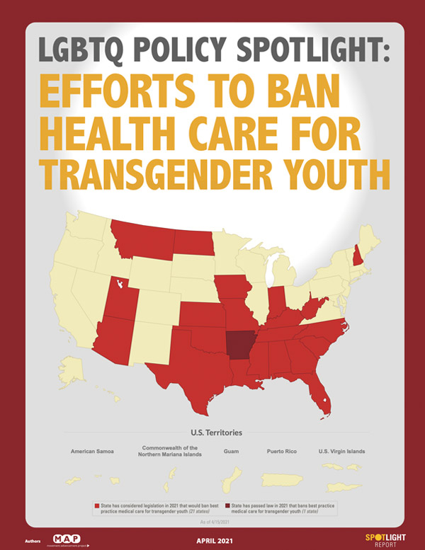 2021-report-cover-lgbtq-policy.jpg