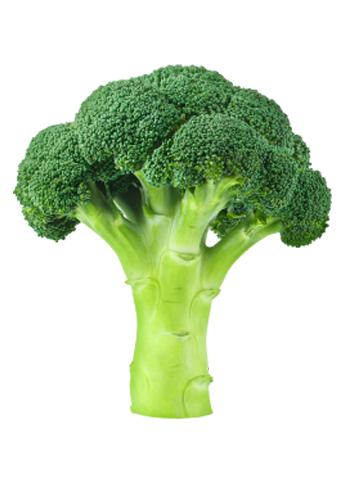 broccoli-lg.png